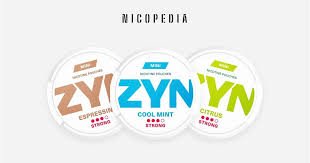 Flavored Nicotine Pouches