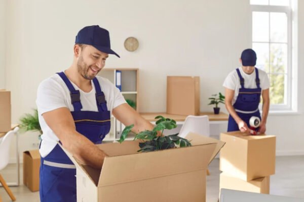 apartment movers
